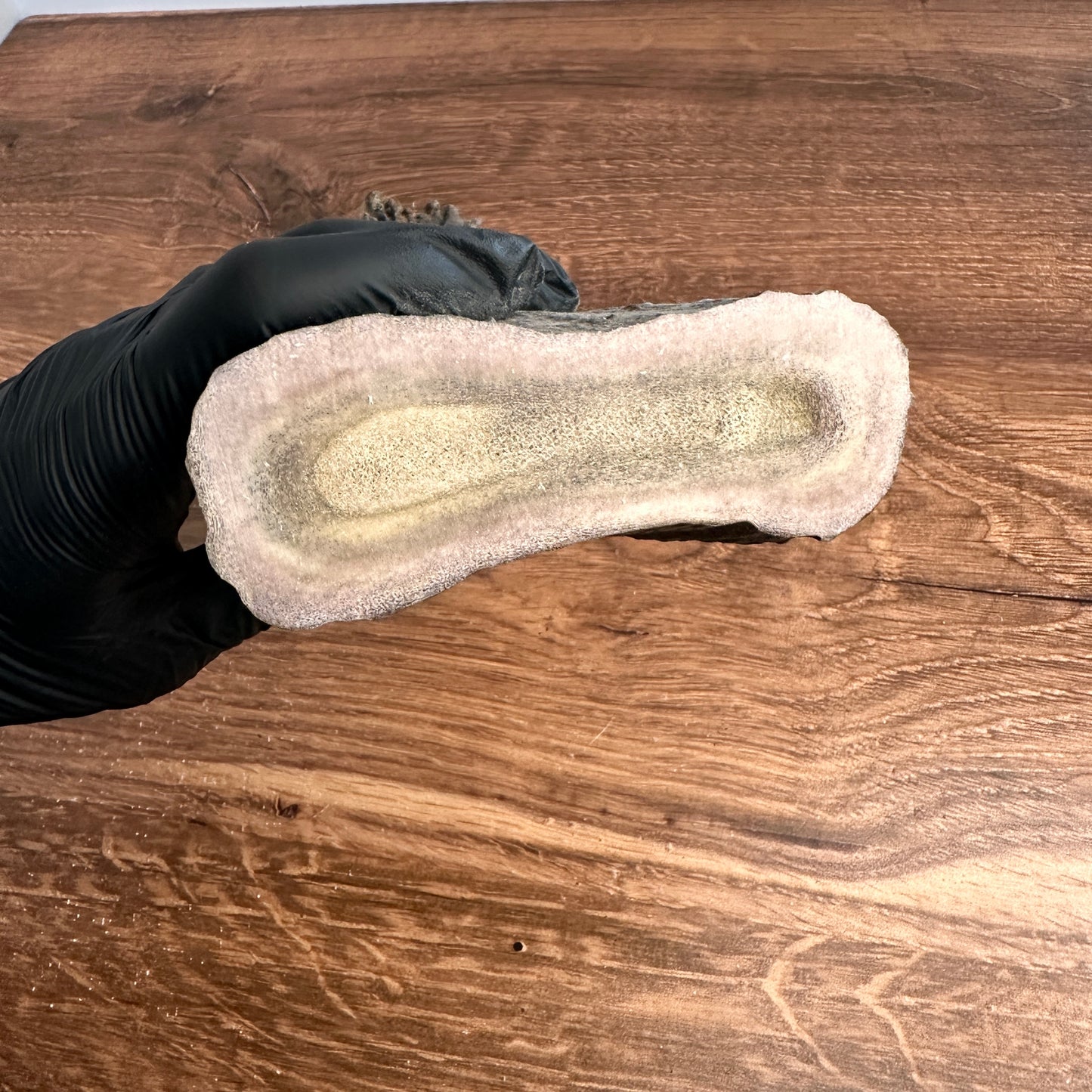 5.75" Moose Antler Base