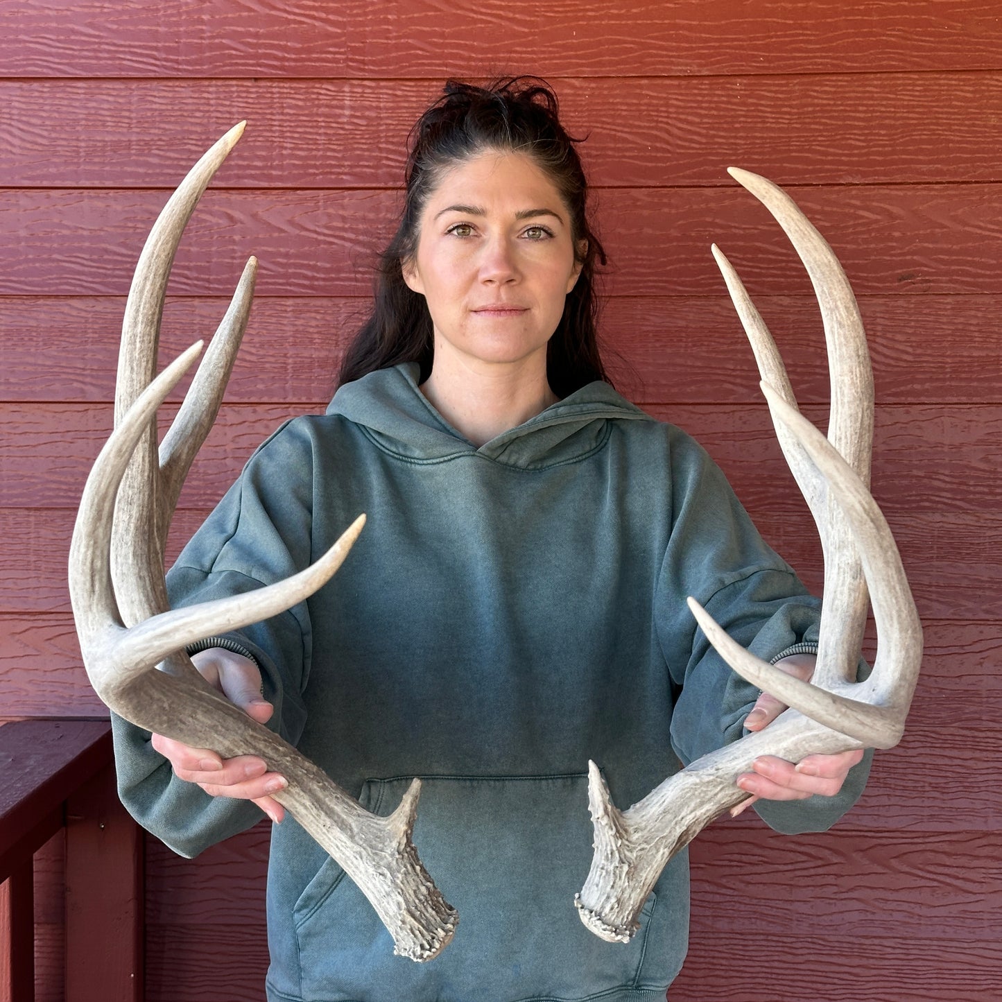 Mule Deer Antler Set – Wild Shed Wyoming (Set F)