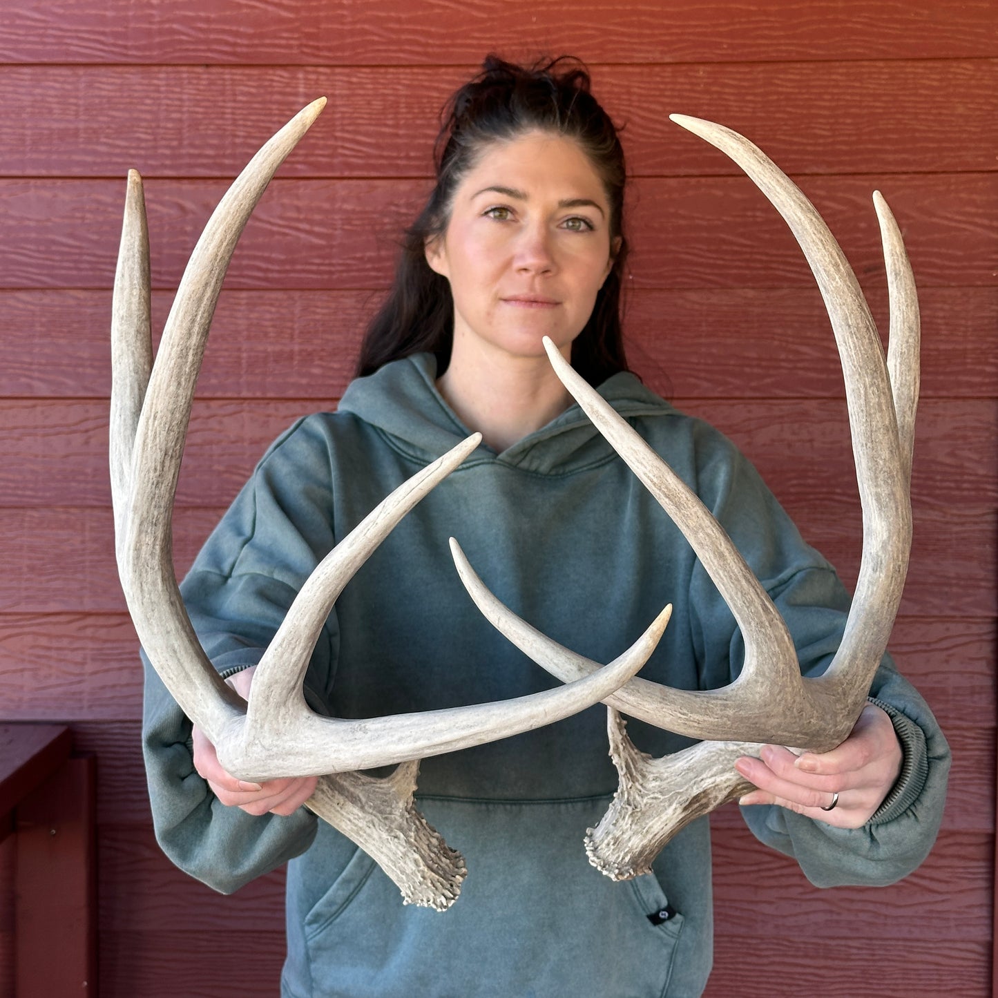Mule Deer Antler Set – Wild Shed Wyoming (Set F)