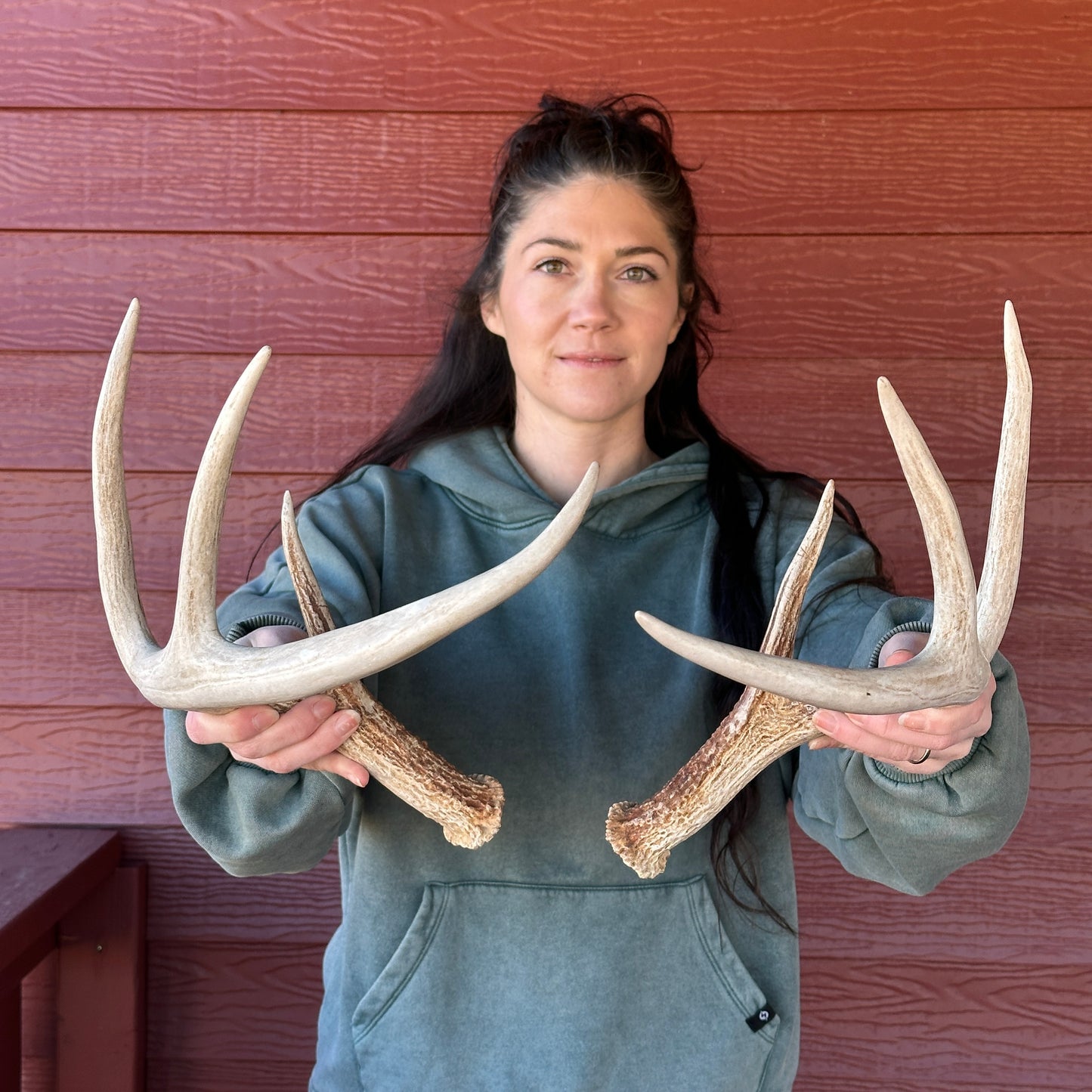 Whitetail Antler Set – Wild Shed Wyoming (Set A)