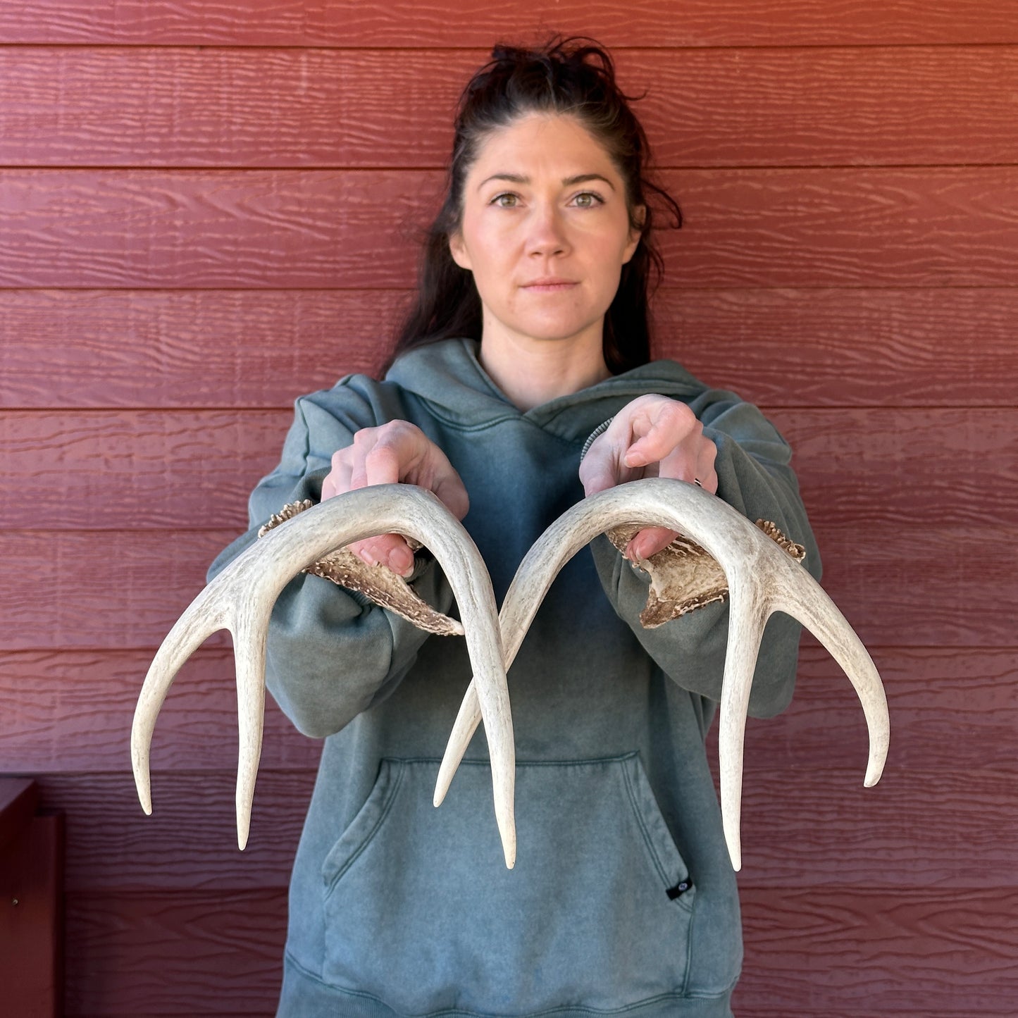 Whitetail Antler Set – Wild-Shed Wyoming (Set B)
