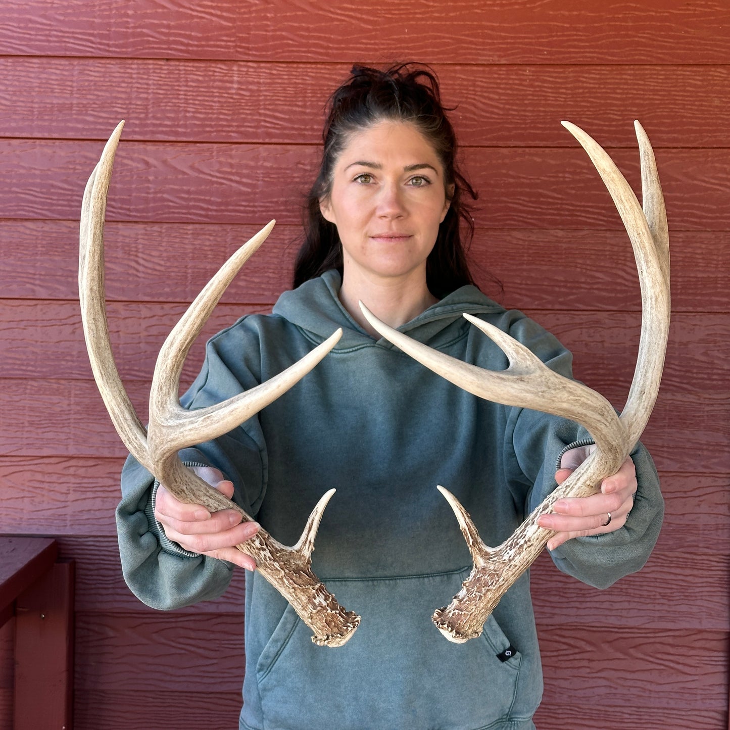 Mule Deer Antler Set – Wild-Shed Wyoming (Set D)