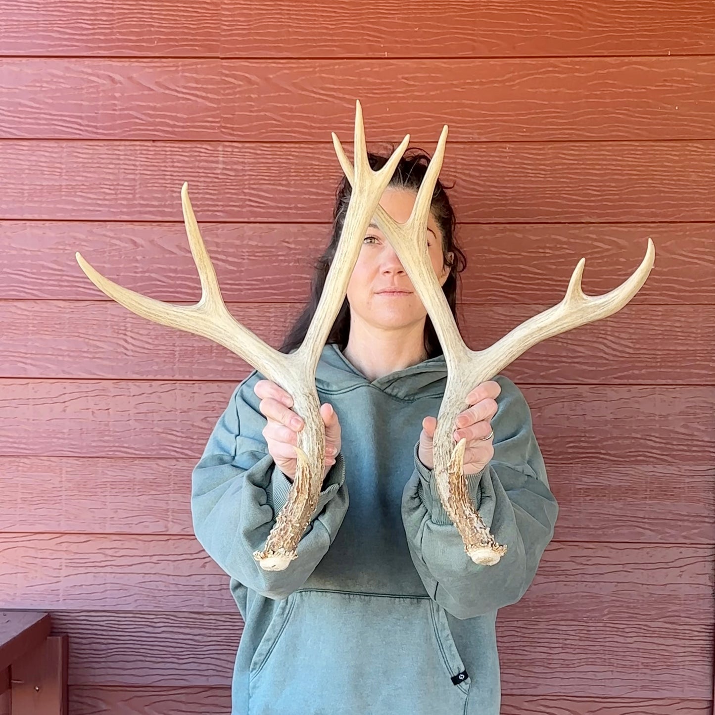 Mule Deer Antler Set – Wild-Shed Wyoming (Set D)