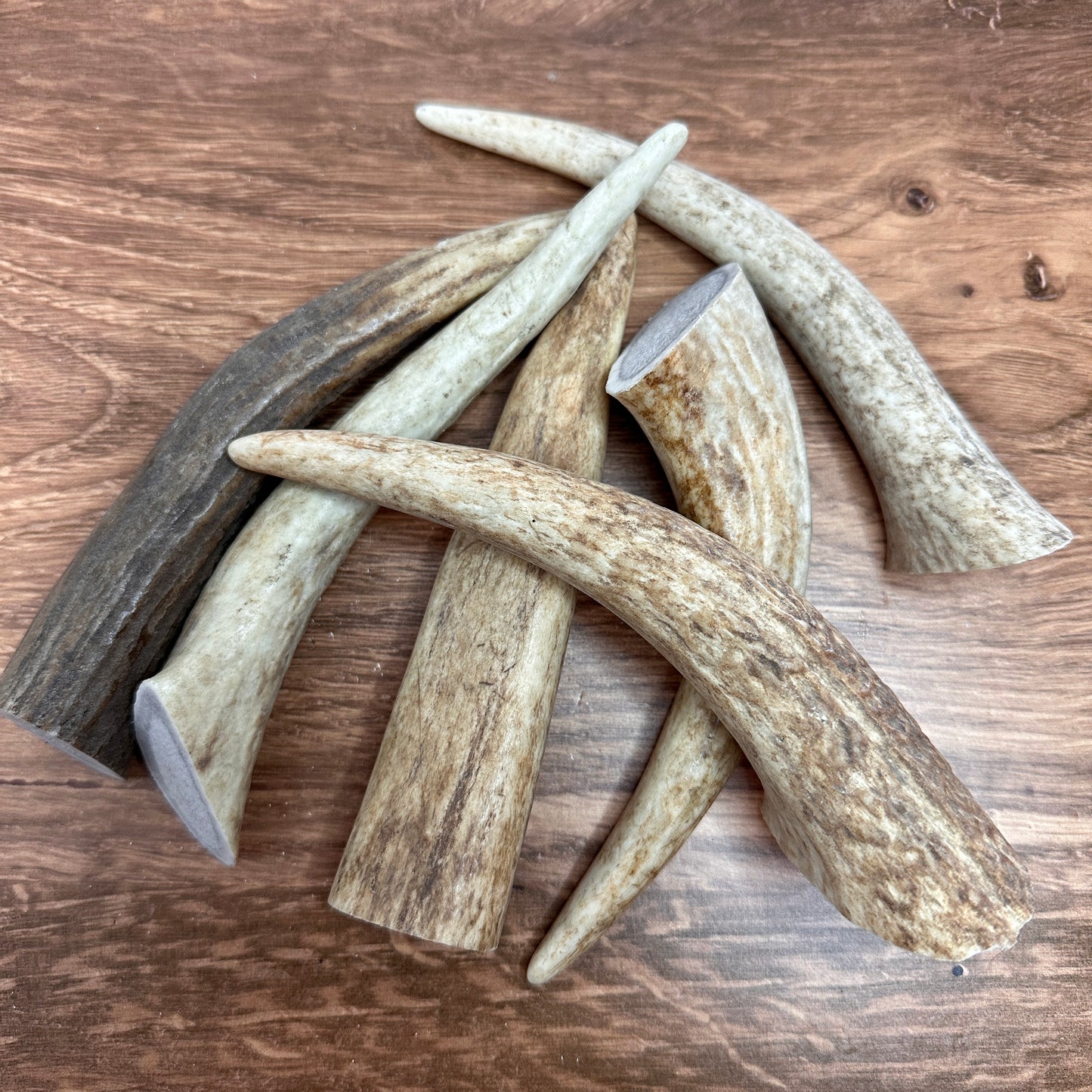 Elk Antler Tine Grab Pack (1 lb)