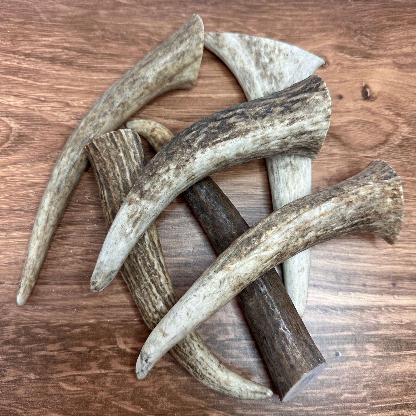Elk Antler Tine Grab Pack (1 lb)