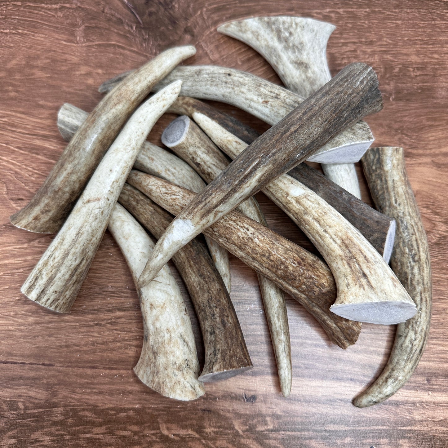 Elk Antler Tine Grab Pack (1 lb)