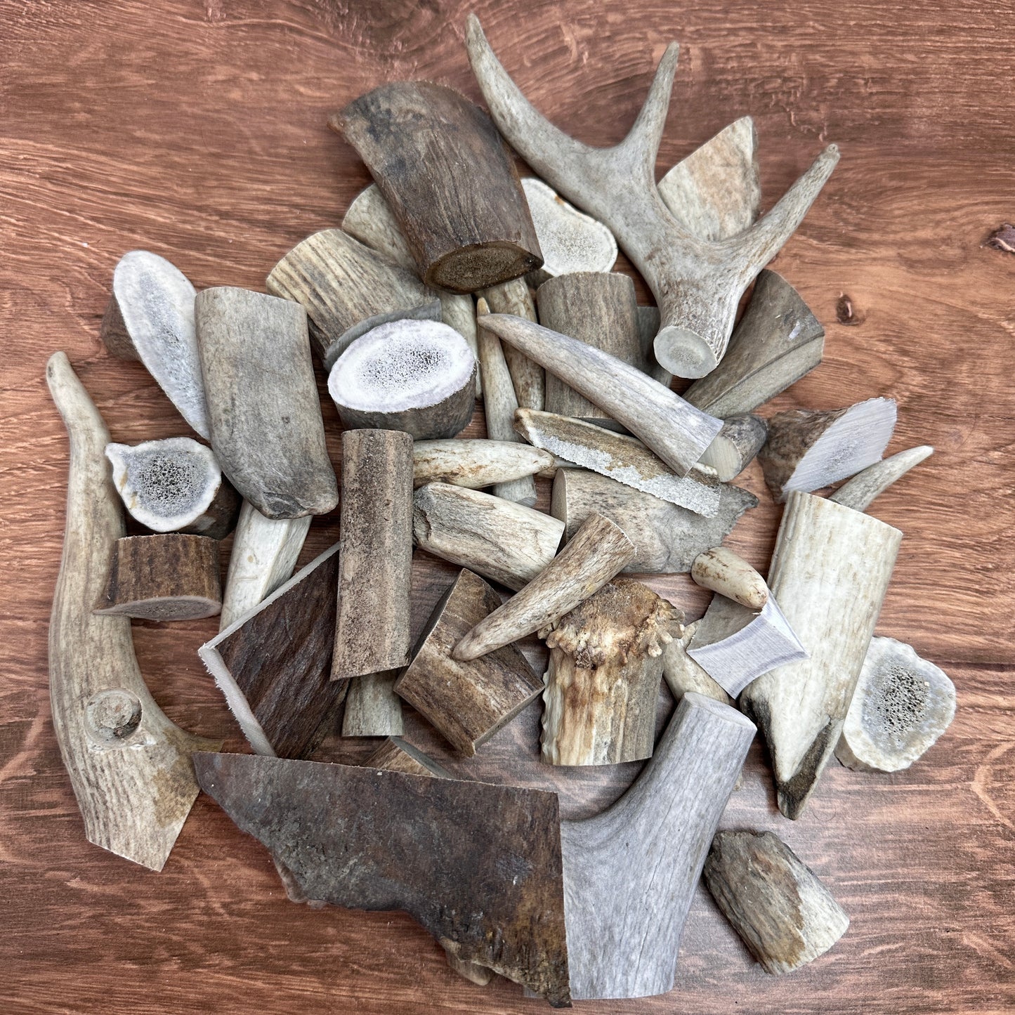 Mixed Antler Scraps (Budget Bundle, 2 lb)