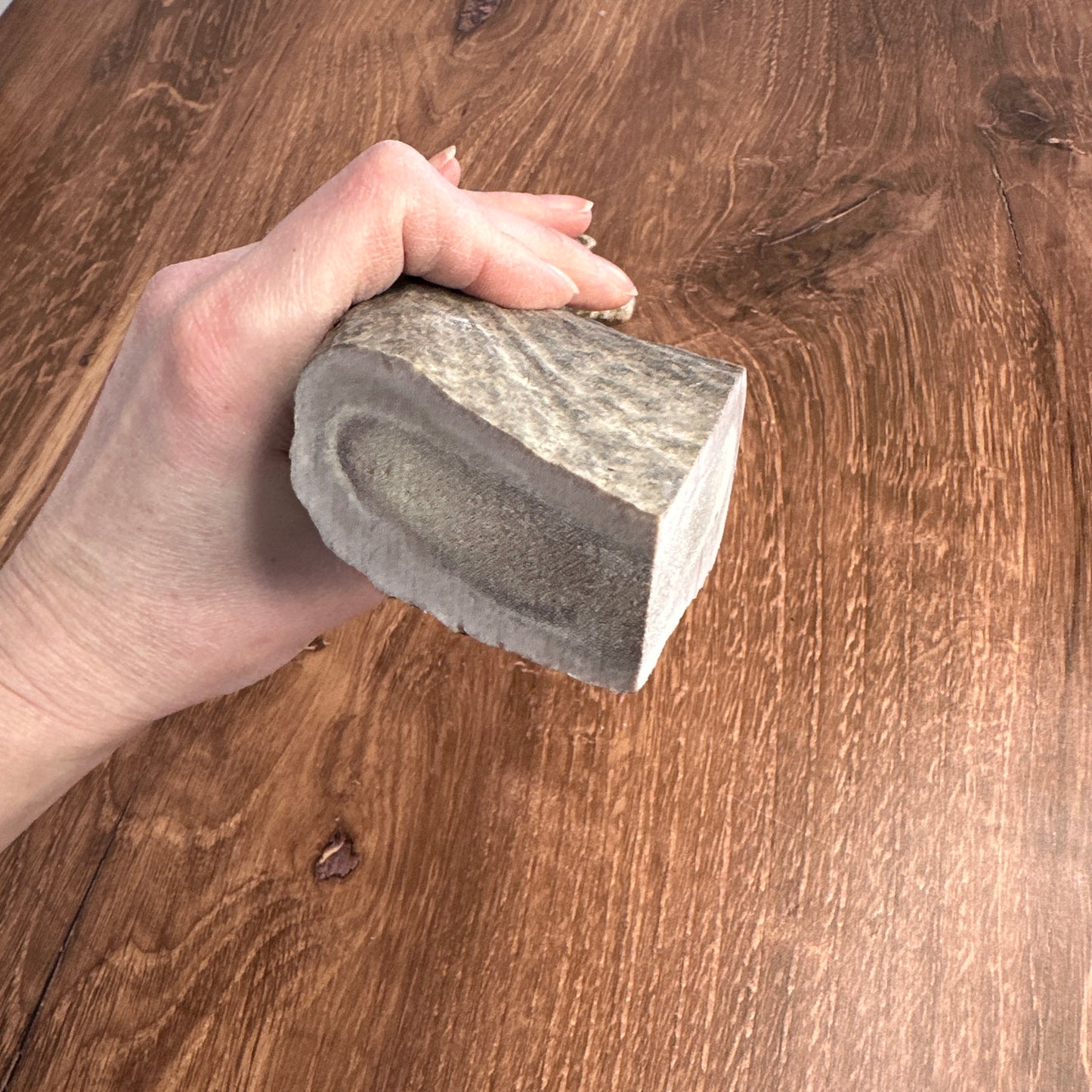 Moose Antler Base (for Flintknappers & Carvers)