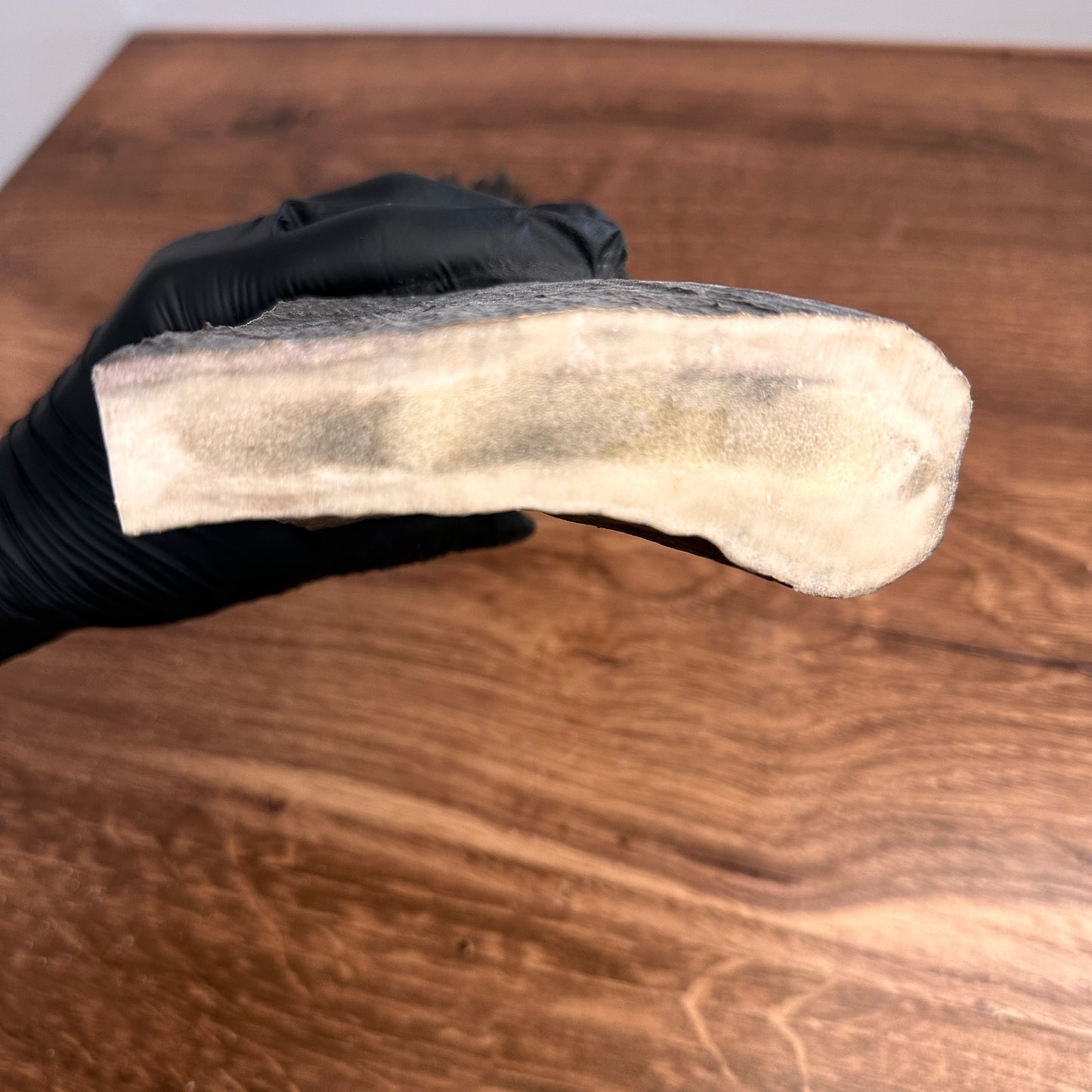 8.75" Moose Antler Base